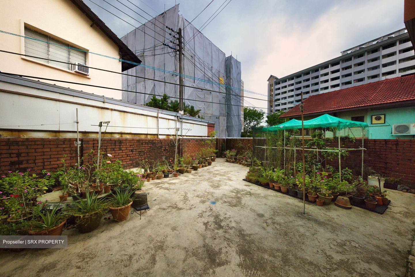 Thomson Garden Estate (D20), Terrace #547394271
